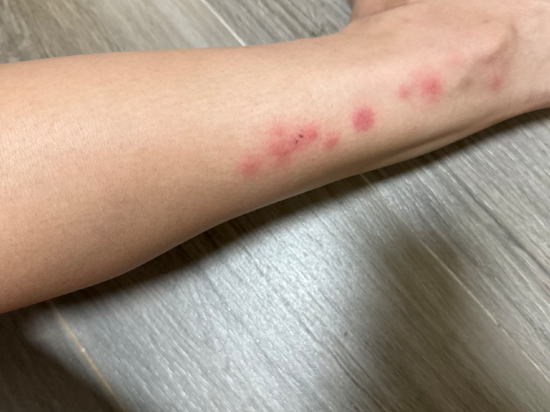 拉差貼威 COZ - 青年旅館優惠