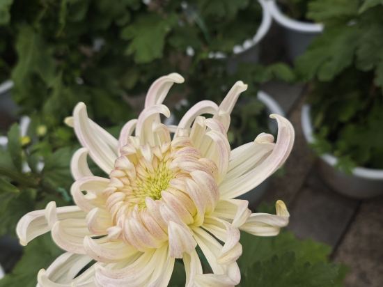 怡家城市飯店（綿陽鐵牛廣場店）優惠