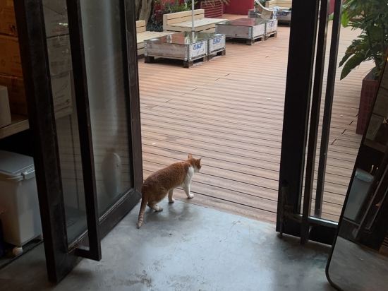 圈圈裡·海濱花園度假民宿（深圳大鵬較場尾店）優惠