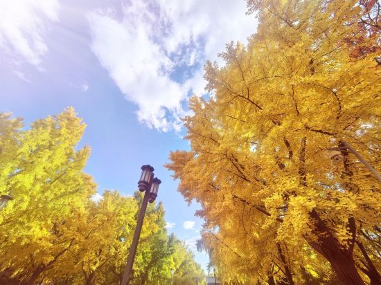 北京中國大飯店優惠