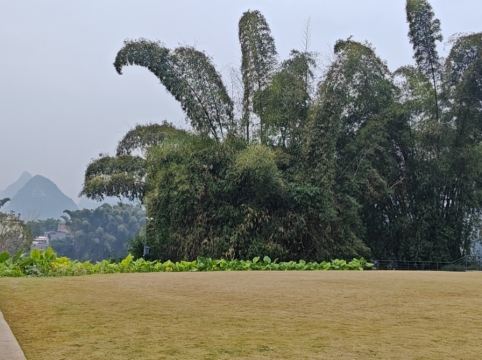 陽朔悦榕莊優惠