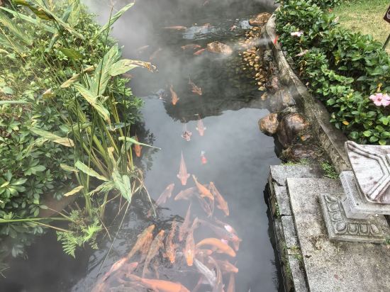 新興翔順龍山酒店優惠