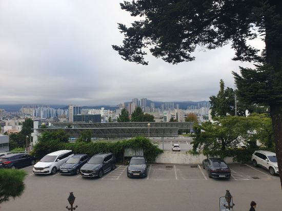 춘천 세종호텔 쿠폰