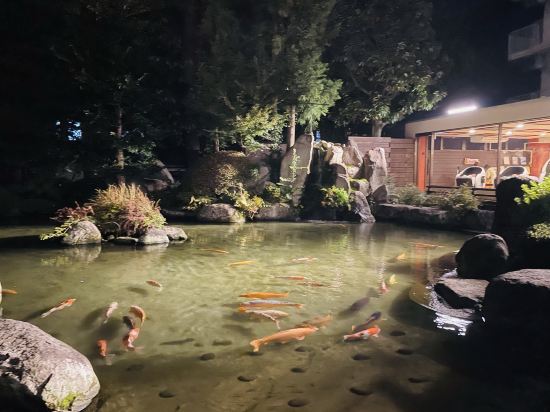 大江戸温泉物語　石和温泉　ホテル新光 クーポン