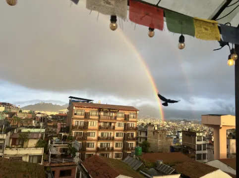 HOTEL 11 THAMEL Рядом с отелем Photos