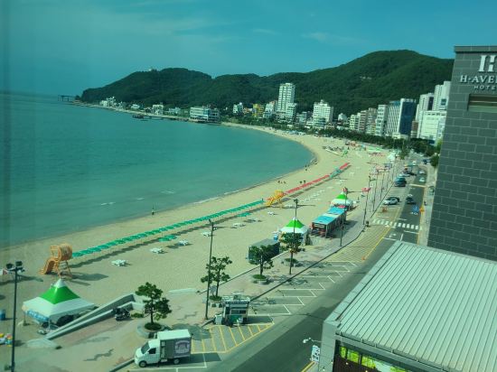 Busan Songjeong Sloth 쿠폰