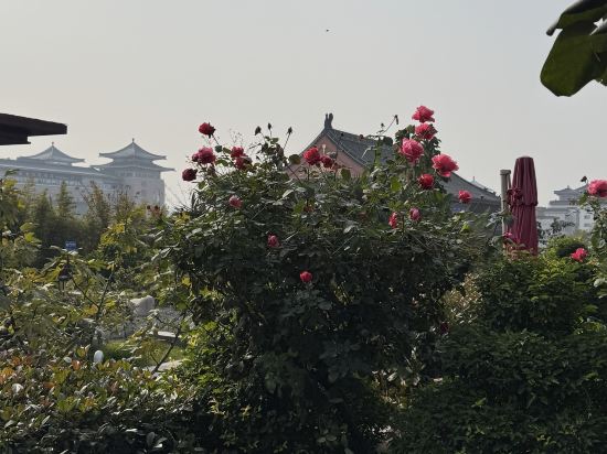 宜必思尚品飯店（西安鐘鼓樓回民街店）優惠