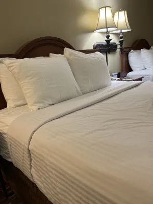 Best Western Village Inn Rooms Photos