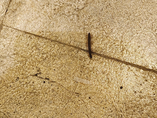 諾偉司吉里度假酒店及水療中心優惠