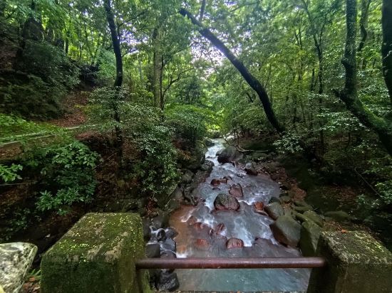 緑と渓流に抱かれた美肌温泉の宿　霧島温泉静流荘 クーポン
