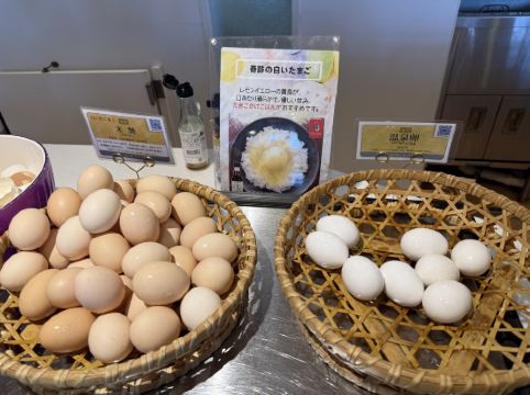 知床第一ホテル クーポン