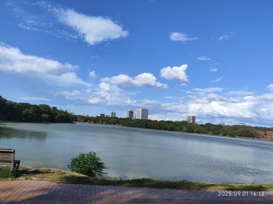 福岡天神南昆特薩酒店優惠