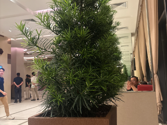新加坡雲頂裕廊飯店優惠