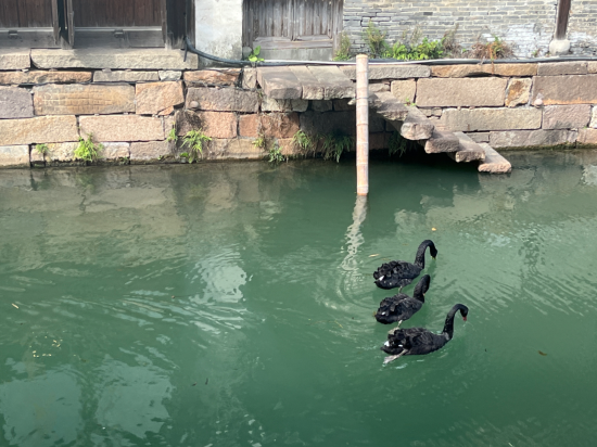 烏鎮通安客棧優惠