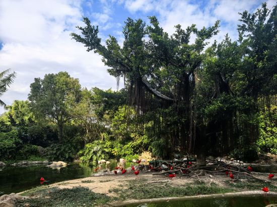 長隆橫琴灣酒店（珠海長隆旗艦店）優惠