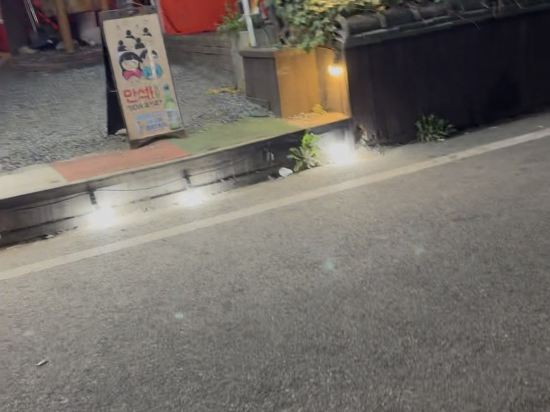 Gyeongju Shim 쿠폰