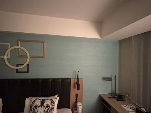 ザ ロイヤルパーク キャンバス 大阪北浜 クーポン