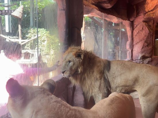 佛山順德長鹿度假村優惠