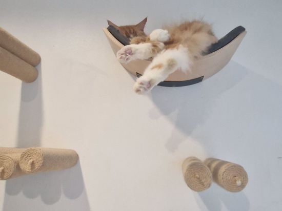 選擇你·設計師飯店優惠