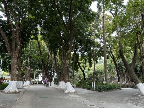 錦江之星風尚（中山石岐大信新都滙店）優惠