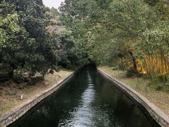 上海西郊賓館優惠