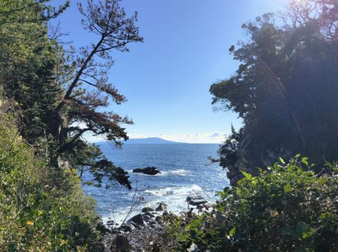 Wan's Resort 城ヶ崎海岸 クーポン