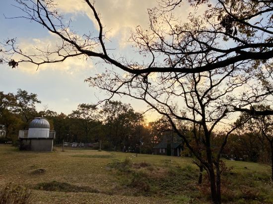 久住高原 銀河のやどきのこ 2 世号 クーポン