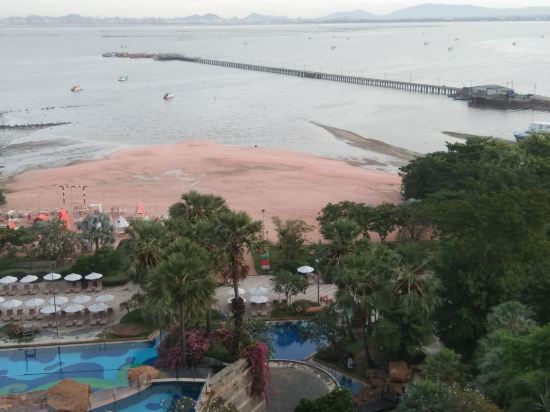 芭達雅沙妮飯店優惠