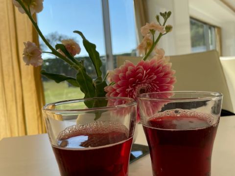 ザ　シーン クーポン