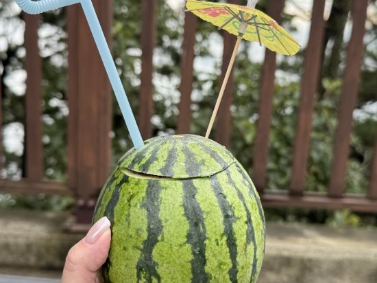 華園大飯店草衙館優惠