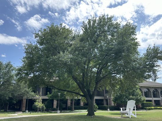 達拉斯醫學/市場中心萬怡酒店優惠