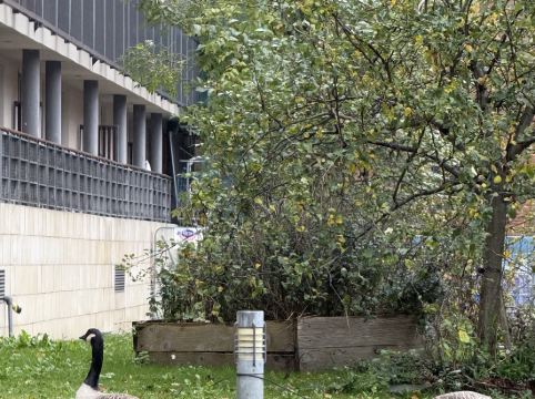 倫敦人酒店優惠