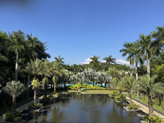 西雙版納雲投喜來登大酒店優惠