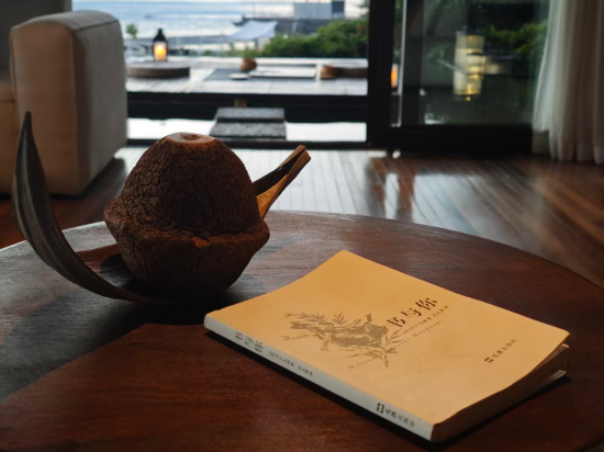 大理雲墅海景度假酒店（雙廊店）優惠