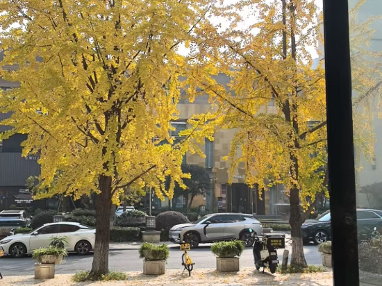 威斯凱爾飯店（成都火車南站店）優惠