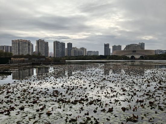 賀州澤森華美達廣場酒店優惠