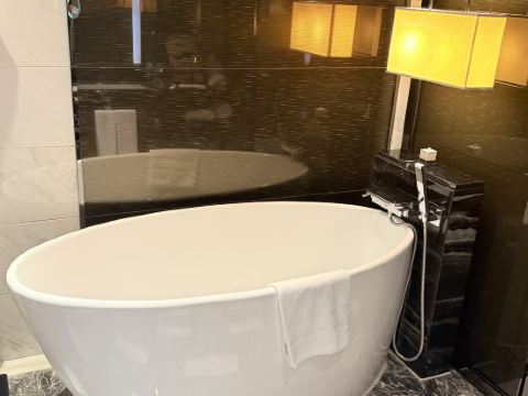 廣州聖豐索菲特大酒店優惠