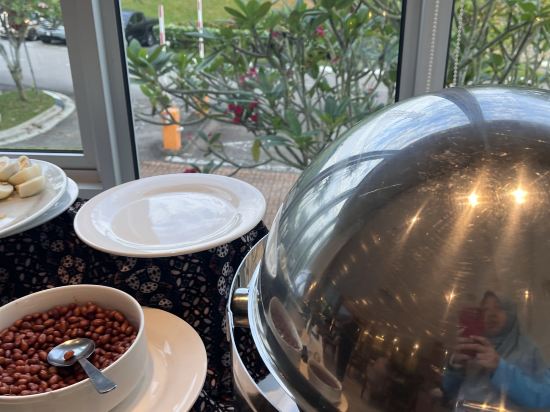 迪沙魯阿曼薩里酒店優惠