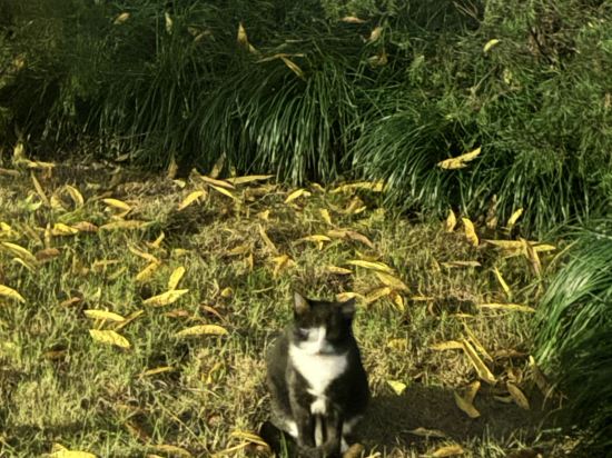 奇遇派飯店（杭州西湖河坊街店）優惠