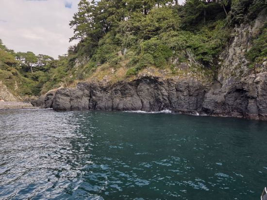 기린 리조트 쿠폰