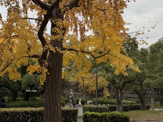 BON 京都清水 クーポン