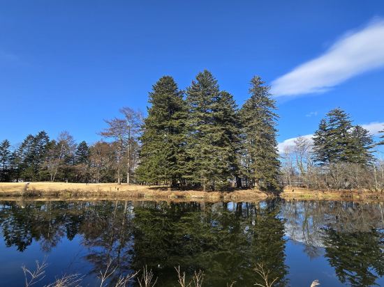 輕井澤西王子飯店優惠