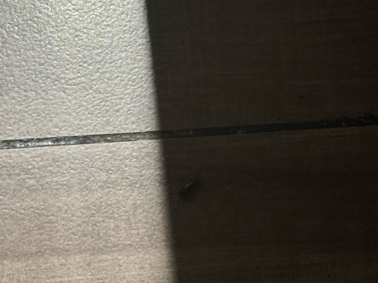 漢庭飯店（上海五角場市光路店）優惠