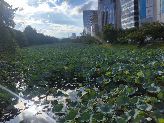福岡天神南昆特薩酒店優惠