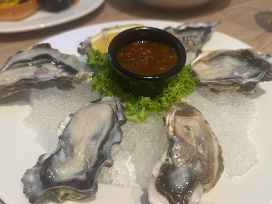 瑞吉斯黃金海岸機場酒店優惠