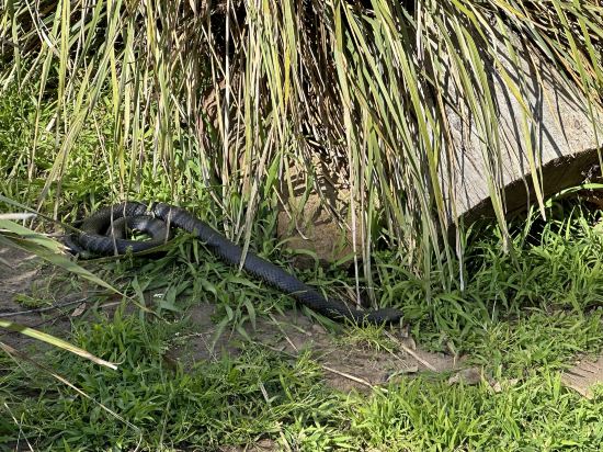 貝斯特韋斯特機場汽車旅館及會議中心優惠