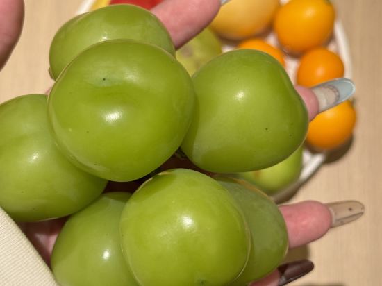 桔子水晶上海豫園酒店優惠