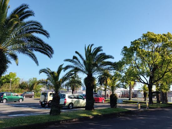 静波リゾートホテル・スウィングビーチ クーポン