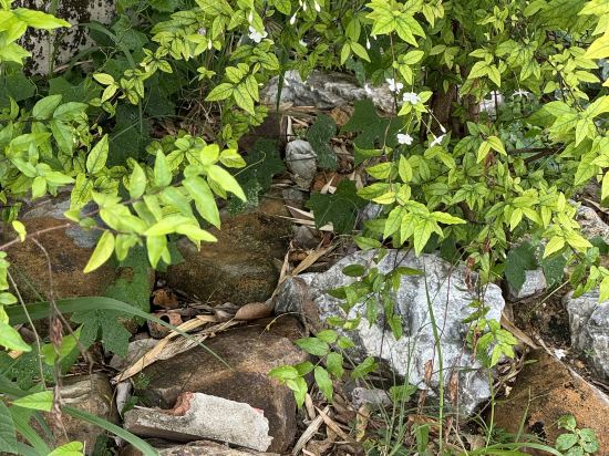 USABAI河畔精品酒店優惠