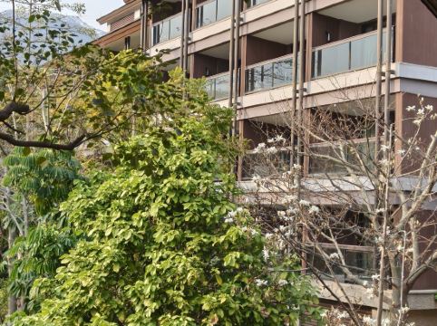 清遠芊麗酒店優惠